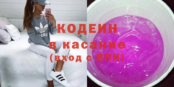 индика Алзамай