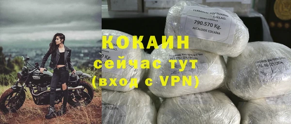 индика Алзамай