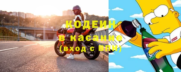 индика Алзамай