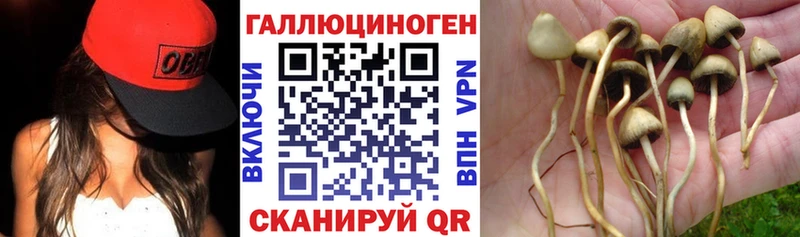 Псилоцибиновые грибы MAGIC MUSHROOMS  как найти закладки  Вологда 